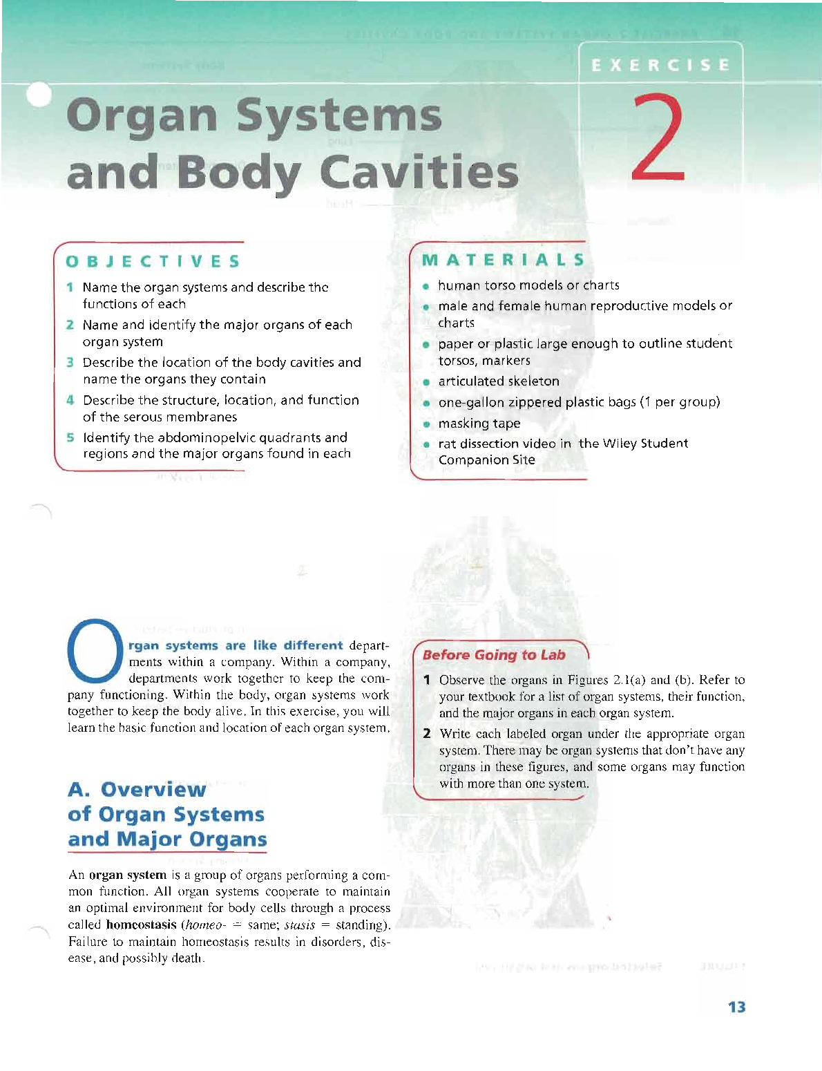 Organ systems and body cavities